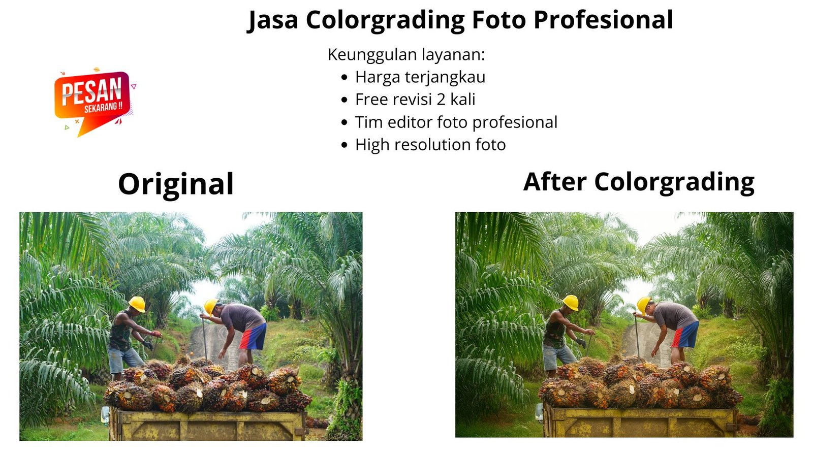 Jasa Color Grading Foto Profesional